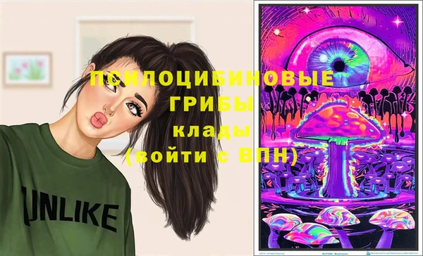 скорость Богородск