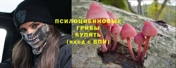 скорость Богородицк