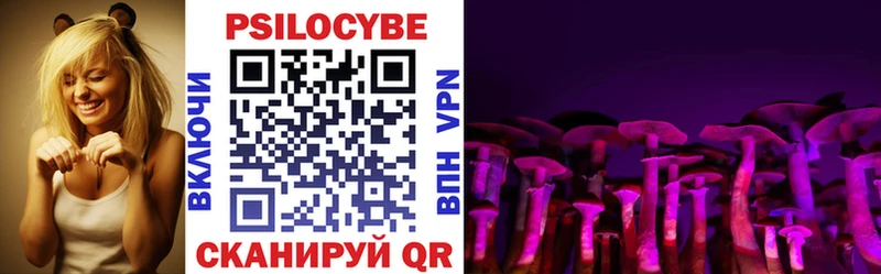 Псилоцибиновые грибы Psilocybe  Котлас 